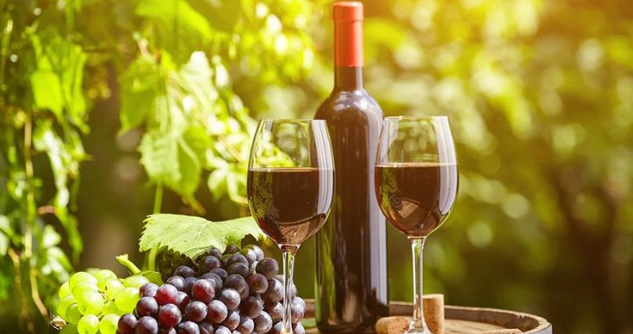 Danang Wine Exhibition
